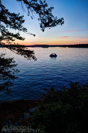 20160704-Wellesley-208PMX