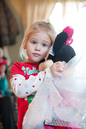 20151226-Roehner-Christmas-57